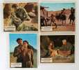 20 movie stills from THE PROFESSIONALS (1966)
