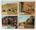 20 movie stills from THE PROFESSIONALS (1966)