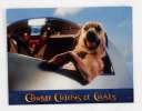 5 photos d'exploitation du film COMME CHIENS ET CHATS (2001)