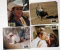 16 photos d'exploitation du film LE DERNIER BAGARREUR (1972)