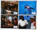 12 photos d'exploitation du film FLIPPER (1996)