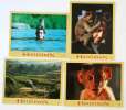 10 photos d'exploitation du film HANUMAN (1998)