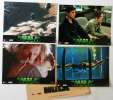12 photos d'exploitation du film HULK (2003)