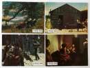 12 movie stills from THE NEW LAND (1972)
