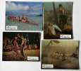 14 movie stills from FORBIDDEN PARADISE (1979)