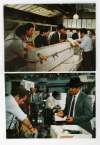8 movie stills from FRENCH CONNECTION II (1975)